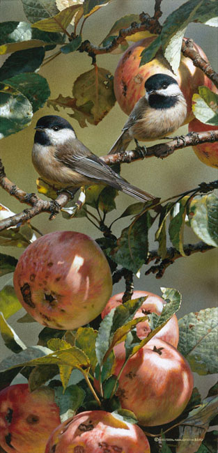 (image for) Handmade Oil painting for home canvas, oil painting framed canvas for living room Carl Brenders paintings Chickadee in Apple Tre
